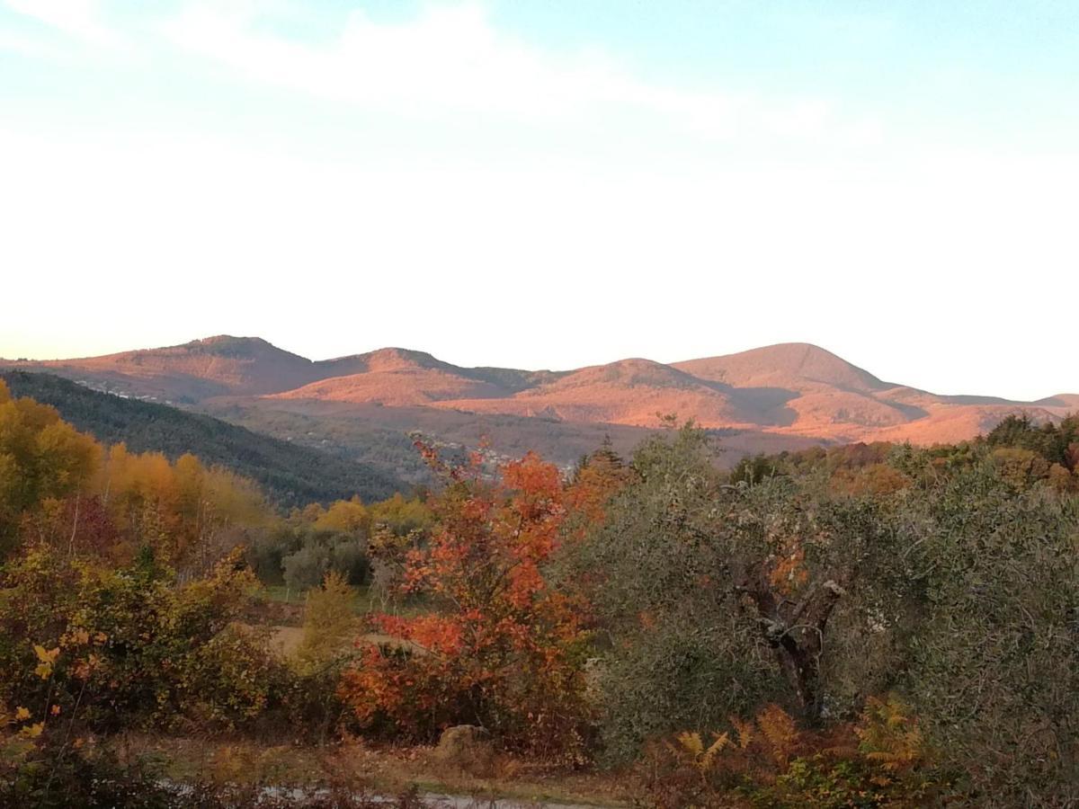Podere Di Maggio - Glamping Tent 3 Santa Fiora Exterior foto